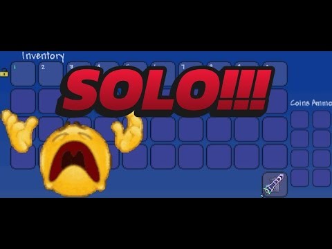 TCMSR 3.5: fleshy insights