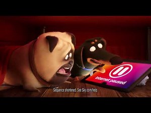 Sky Broadband - The Secret Life of Pets 2