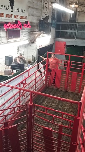 Low Country Livestock Exchange on Reels