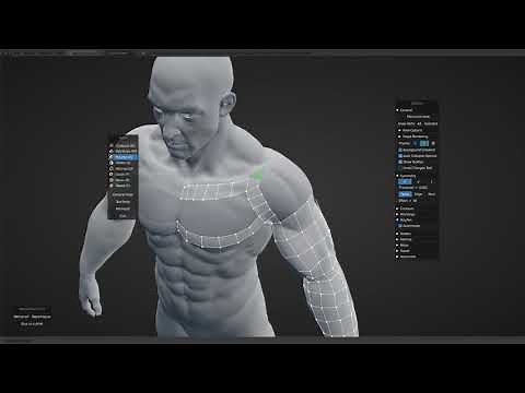 RetopoFlow 2.0 Walkthrough