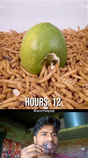 Lemon vs 10000 cockroach 🪳