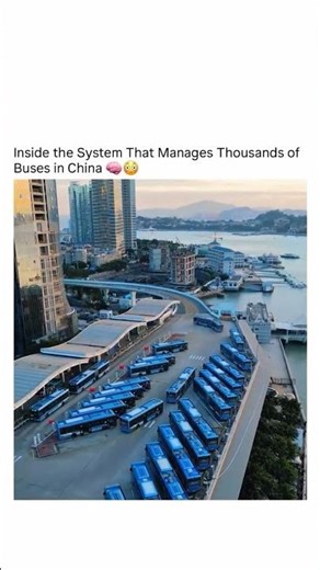 Next Level Organization: China's Massive Bus Management System 🇨🇳