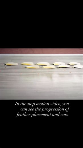 14 reactions | In the stop motion video, you can see the progression...