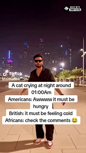 Understanding Cat Crying at Night: Spiritual Meaning Revealed