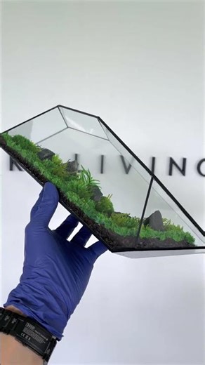 The Infinity - 2026 Preserved Moss Terrarium by #terraliving