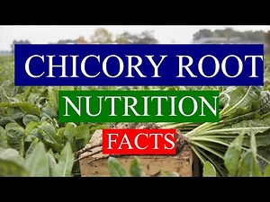 CHICORY ROOT - HEALTH BENEFITS AND NUTRIENTS FACTS