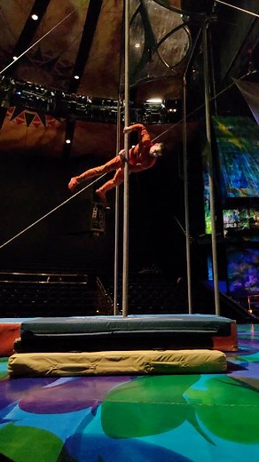 #chinesepole #circus #drop #tricks #acrobatics #pole | Tom Ammirati