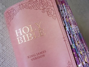 Pink Bible Personalized With Tabs, KJV Large Print Full Size Christian Wife Gift Bible With Free Shipping - Etsy