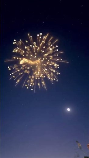 Crazy firework #fireworks #funny #newyear