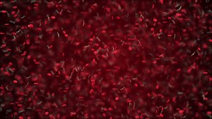 various forms of life in a drop of water. simulation of protozoa by an organism