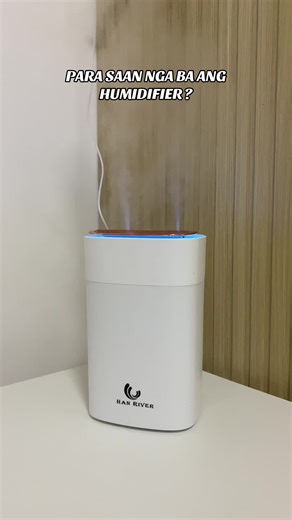 Benefits of Using a Humidifier: Improve Your Indoor Air Quality