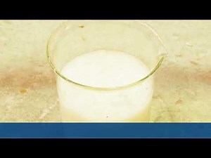 Ever wondered how Harmac Kraft pulp is made?