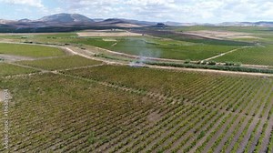 Aerial bird view of smoldering fire located in rural area creating smoke slowly moving up is potential fire hazard when ground or crops are very dry and catches fire 4k high resolution footage