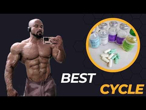 The BEST Steroid Cycle for Beginners (Most People Get This Wrong)