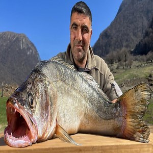 5.8K views · 89 reactions | Life in a Mountain Village! Cooking Fish in a Pit according to a Family Recipe | Chef Grandma Cooking | Facebook