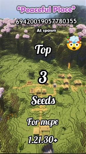 🌍 Minecraft:Top 3 Seeds for Epic Survival,Speedruns&Adventure seeds 🌋#villageseeds#minecraft#shorts
