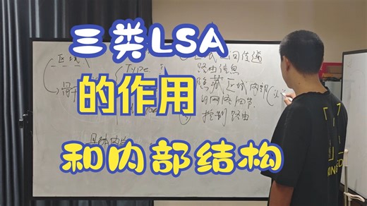 14、详细解析3类LSA的作用和结构