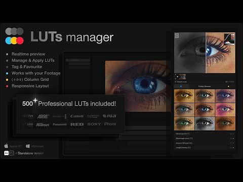 LUTs Manager - Full Access License for Premiere Pro, After Effects, DaVinci Resolve Final Cut & Standalone (Compatible with All Major Editing Software) & LUTs Pro: 500 Universal  LUTs for Professional Colour Grading