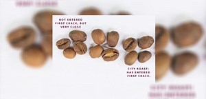 Coffee Class- First Crack, Second Crack and Bean Changes in the Roast - Sweet Maria's Coffee Library