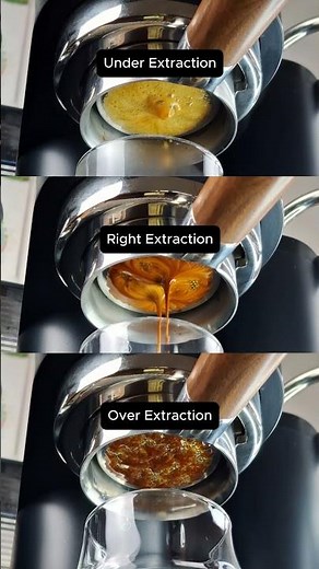 Espresso Extraction Explained ☕ Under vs Perfect vs Over Extracted