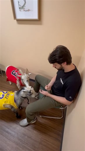 Arena Club on Instagram: "The Goats are back… And all in one pack! September 8th, Only at Arena Club #ArenaClub #SlabPack"