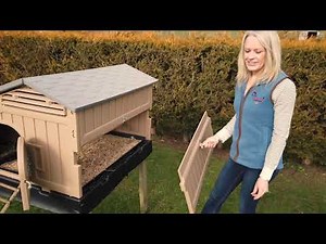 Coop Chatter - Let's look closer - Standard Snap Lock Chicken Coop