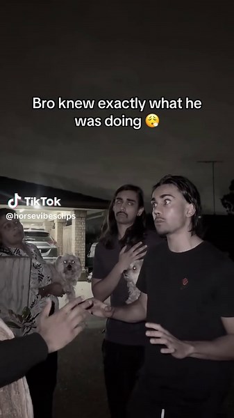 Winning Sibling Arguments: Funny Moments Captured