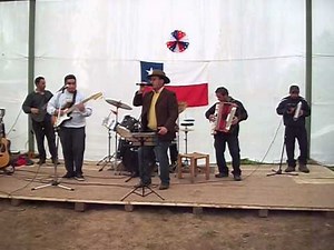 los genitales en vivo - modesto el papi
