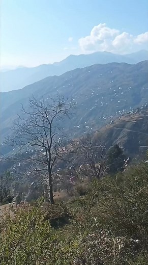 282K views · 16K reactions | Nature view | Quranic Reflection | Facebook