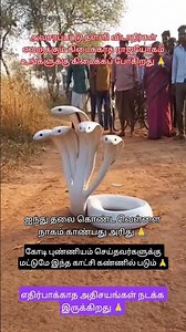 5 தலை வெள்ளை நாகம் 🙏🪱🙏 #tamil #god #shortvideo #sivaya #hindudeity