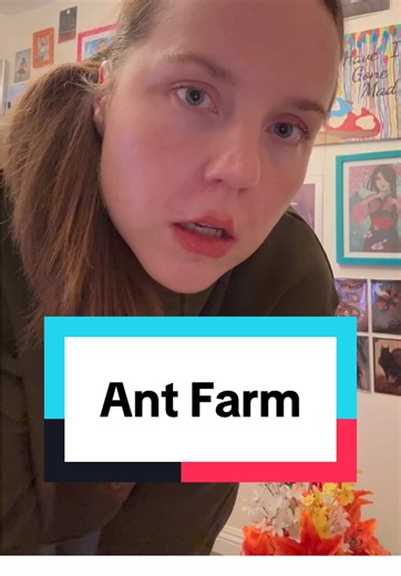 Understanding Ant Behavior in My Ant Farm