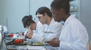 Young African American female computer engineer and her colleagues examining circuit board at desk in laboratory, entering data information on computers