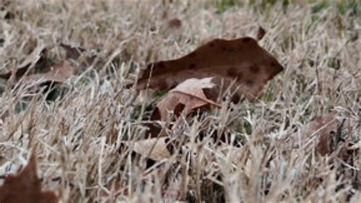 Ice and snow in Lafayette County