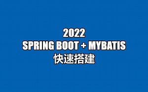 【演示】【2022最新】几分钟内快速搭建 SpringBoot MyBatis