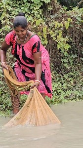 172K views · 1.3K reactions | Amazing Village Women Net Fishing #reels #Fishing | Village Women fishing Channel | Facebook
