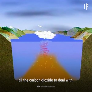 Animals drop instantly. 😵‍💫 | What If