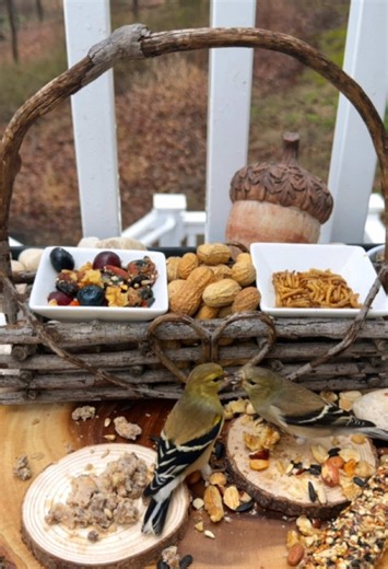 Observing Backyard Birdies: Goldfinches and More