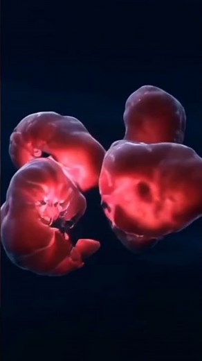 How Cancer Starts in the Body?