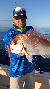 15K views · 130 reactions | All new Savage Gear Australia soft plastics are hitting stores soon! We sent Sammy Hitzke Fishing out with the Bats Fishing lads to give the new placcys a go on some offshore species. Safe to say Snapper and other reefies love them! Check out some the range below. | BCF - Boating, Camping, Fishing | Facebook