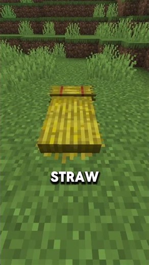 Minecraft's NEW Cushion is INSANE #minecraft
