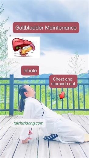 Exercise tai chi daily fully remove root causes and Improve symptoms. Follow for more useful and healthy tai chi practices. #taichi #wudang #wudangkungfu #wudangtaiji #太极 #relax #relaxation #chineseculture #fyp #foryou #TCM #health #exercise #healthylifestyle #fiveelements #qigong #exercisetips #fitnessmotivation #WellnessJourney #fitnessinspiration | Tai Chi for Beginners