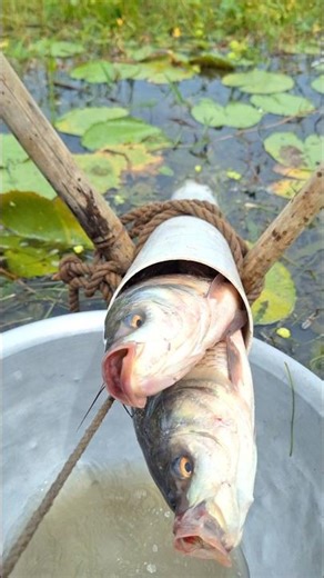 New Fishing Methord By Plastic Pipe #fishing #shorts #trending #fishingtrap