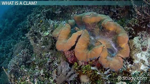 You must c C reate an account to continue watching