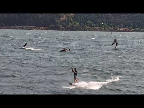 Hatchery Labor day 2025 (2/3)