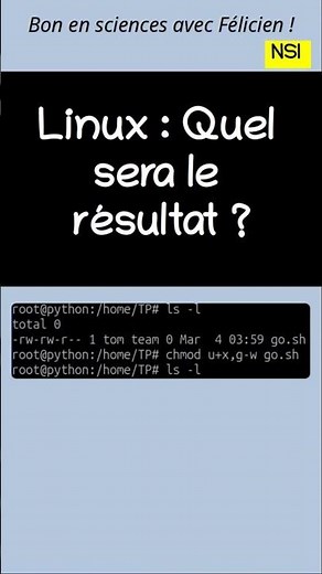 Les commandes Linux (exercice 5). #linux #fichiers #droits #commandes #shorts
