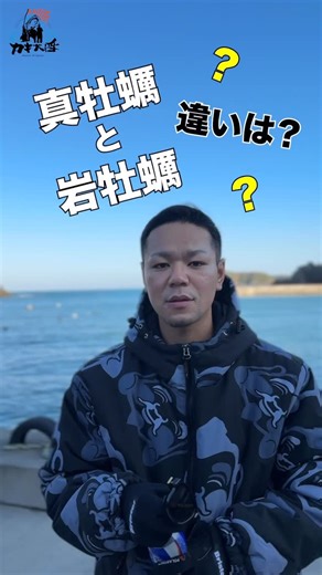 カキ大将｜岩手のカキ漁師（株式会社大将水産） on Instagram: "🦪❓岩牡蠣と真牡蠣、何が違うか知ってますか？ ✔ 岩牡蠣 → 夏が旬☀️ → 1個がデカい！ → クリーミーで濃厚な味わい ✔ 真牡蠣 → 冬が旬❄️ → 旨みと甘みのバランスが最高 → 何個でもいける定番牡蠣 同じ牡蠣でも、育つ環境も旬も全然違うんです👀 あなたはどっち派？🦪✨ ⸻ #岩牡蠣 #真牡蠣 #牡蠣の違い #牡蠣好きと繋がりたい #カキ大将"