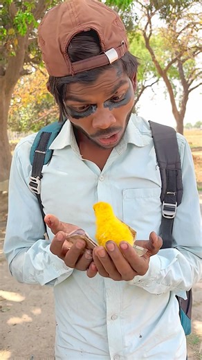 Jadui hen ka bachha aur paisa 😱😃#indian #comedy #trendingshorts #shorts #youtubeshorts #a9team