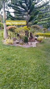 COLOSAS 3:15 (ADB) At maghari sa inyong puso ang kapayapaan ni Cristo, na diya’y tinawag din naman kayo sa isang katawan; at kayo’y maging mapagpasalamat. | Cocy Medina