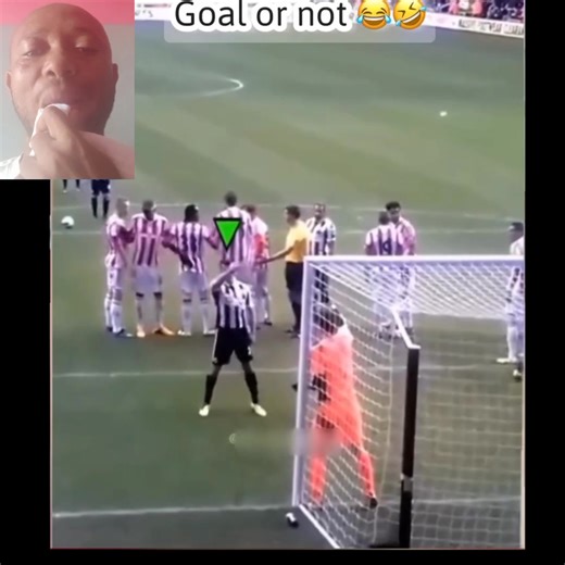 What is this 😳 | Mr White