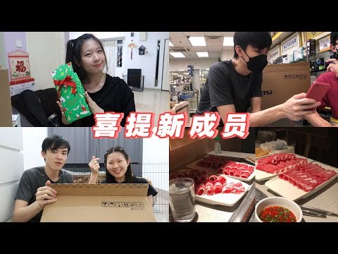 来揭晓我们Youtube频道的新成员！顺便去吃久违的海底捞~谢谢大家一路来的关注！！ - YouTube